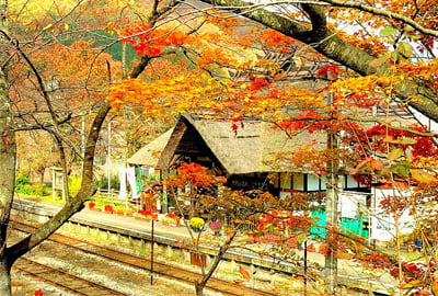 日本三景松島.藏王萌狐狸.浪漫銀山溫泉.採果體驗趣.東北超值大滿貫5天
